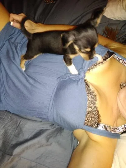 I'm looking for some $exy, hand$ome, generou$ men that want to play - Photo 3 | Escort in Chandler