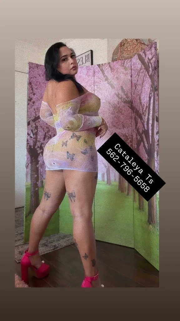 Cataleya Ts I'm ready Hollywood 🥵🥵 - Photo 3 | Escort in East Hollywood