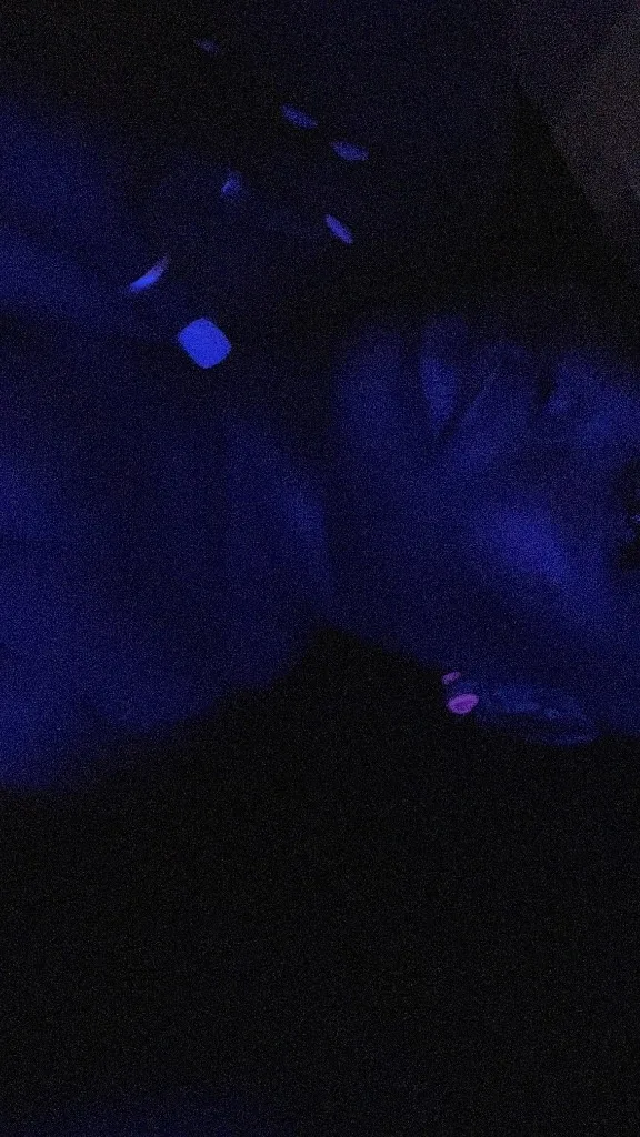 clean, wet and discreet️ Classy,BUSTY, Thick AND Chocolate AVAILABLE 24/7!️ cum see me hun - Photo 5 | Escort in Westheimer