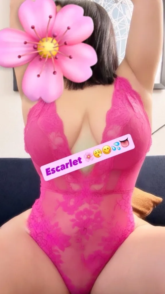 latina nueva en la zona - Photo 2 | Escort in Chantilly